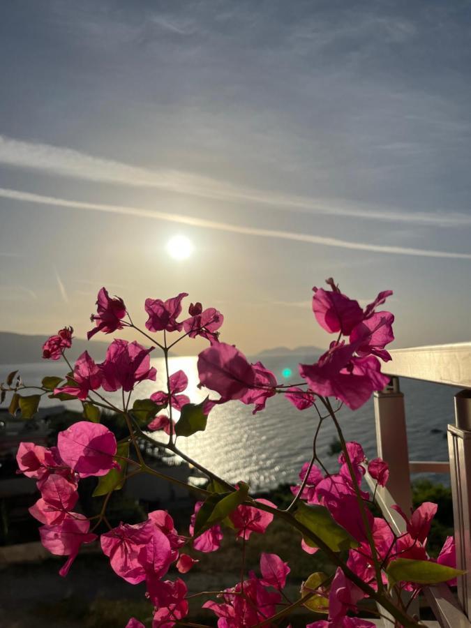 Lotus Apartments Vlore Exterior photo